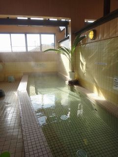 DSC06530.jpg