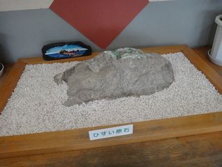 DSC06596.jpg