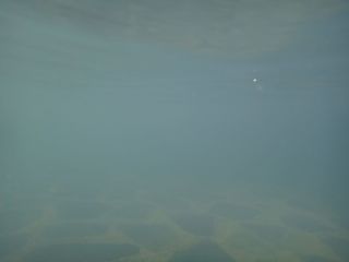DSC06607.jpg