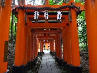 DSC06785.jpg