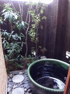 DSC06878.jpg