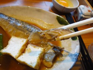 DSC07189.jpg
