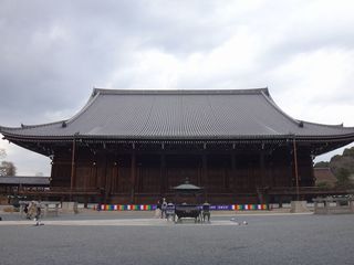DSC07208.jpg