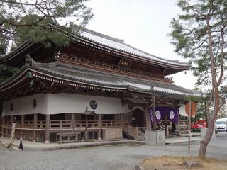 DSC07211.jpg