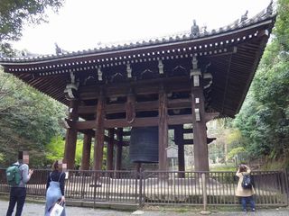 DSC07217.jpg