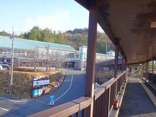 DSC07223.jpg