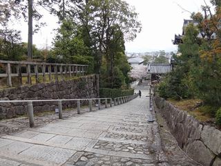 DSC07247.jpg