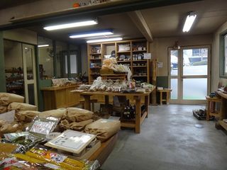 DSC07364.jpg
