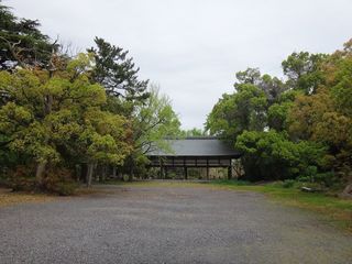 DSC07398.jpg