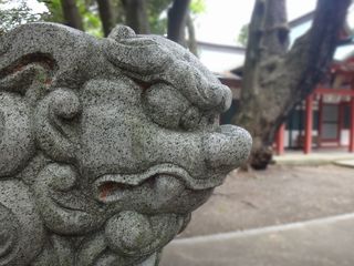 DSC07428.jpg