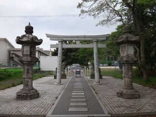 DSC07429.jpg