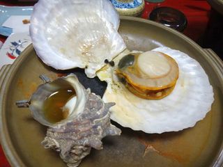 DSC07558.jpg