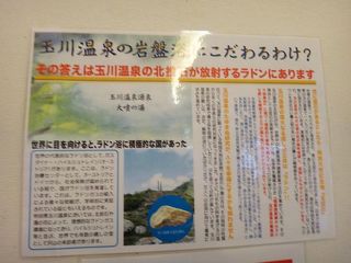 DSC07658.jpg
