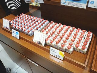 DSC08029.jpg