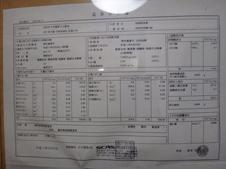 DSC08131.jpg