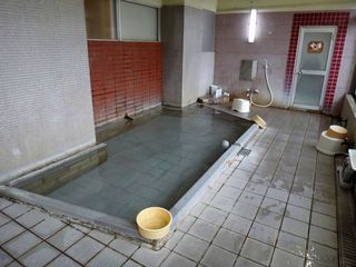 DSC08134.jpg