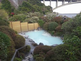 DSC08154.jpg
