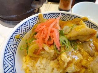 DSC08171.jpg