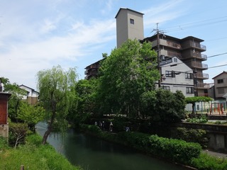 DSC08174.jpg