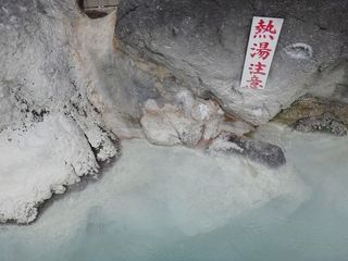 DSC08176.jpg