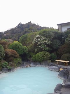 DSC08184.jpg