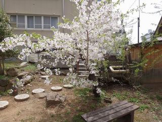DSC08619.jpg