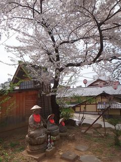 DSC08620.jpg