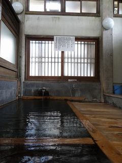 DSC08663.jpg