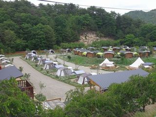 DSC08676.jpg