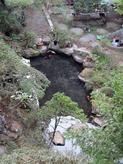DSC08759.jpg