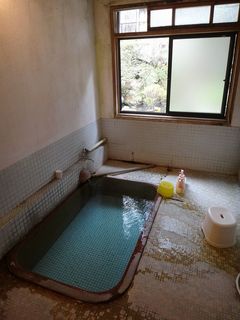 DSC08795.jpg