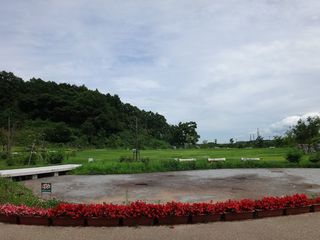DSC08954.jpg