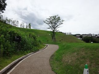 DSC08984.jpg