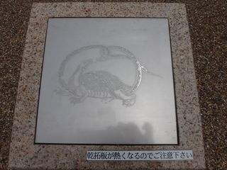 DSC08986.jpg