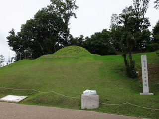 DSC08990.jpg