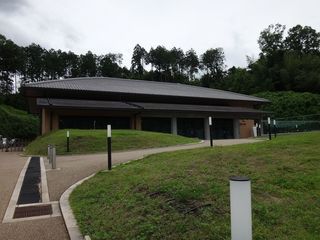 DSC08993.jpg