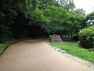 DSC09048.jpg
