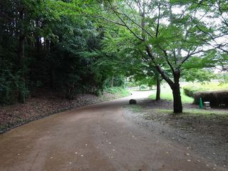 DSC09049.jpg