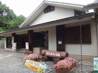 DSC09057.jpg