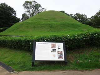 DSC09063.jpg