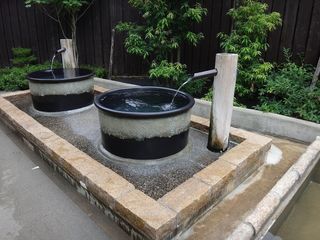 DSC09077.jpg
