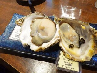 DSC09204.jpg