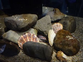 DSC09463.jpg