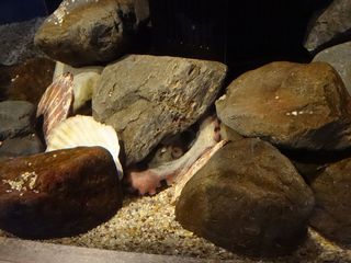 DSC09464.jpg