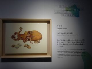 DSC09497.jpg