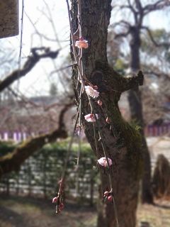 DSC09755.jpg
