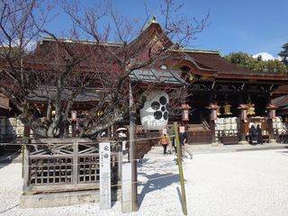 DSC09757.jpg