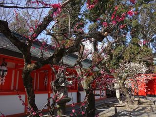 DSC09770.jpg