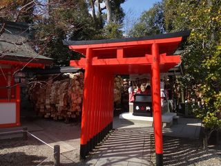 DSC09785.jpg