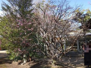 DSC09801.jpg
